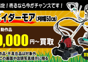 【期間限定】スパイダーモア強化買取!!